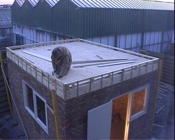 The Roof