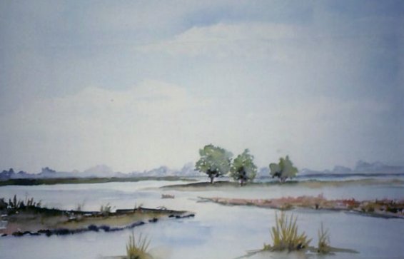Lakes in Drenthe 2