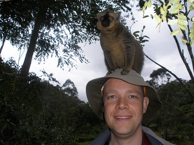 Lemur sitting on Rob's hat on the Lemur island of the Vakona forest lodge